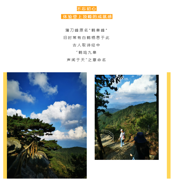 秋天了，來(lái)一場(chǎng)成年人的秋游吧(圖2)