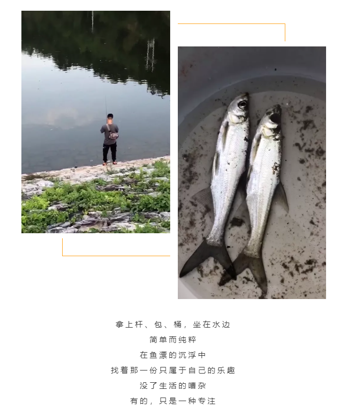 秋天了，來(lái)一場(chǎng)成年人的秋游吧(圖5)
